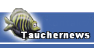 Tauchernews